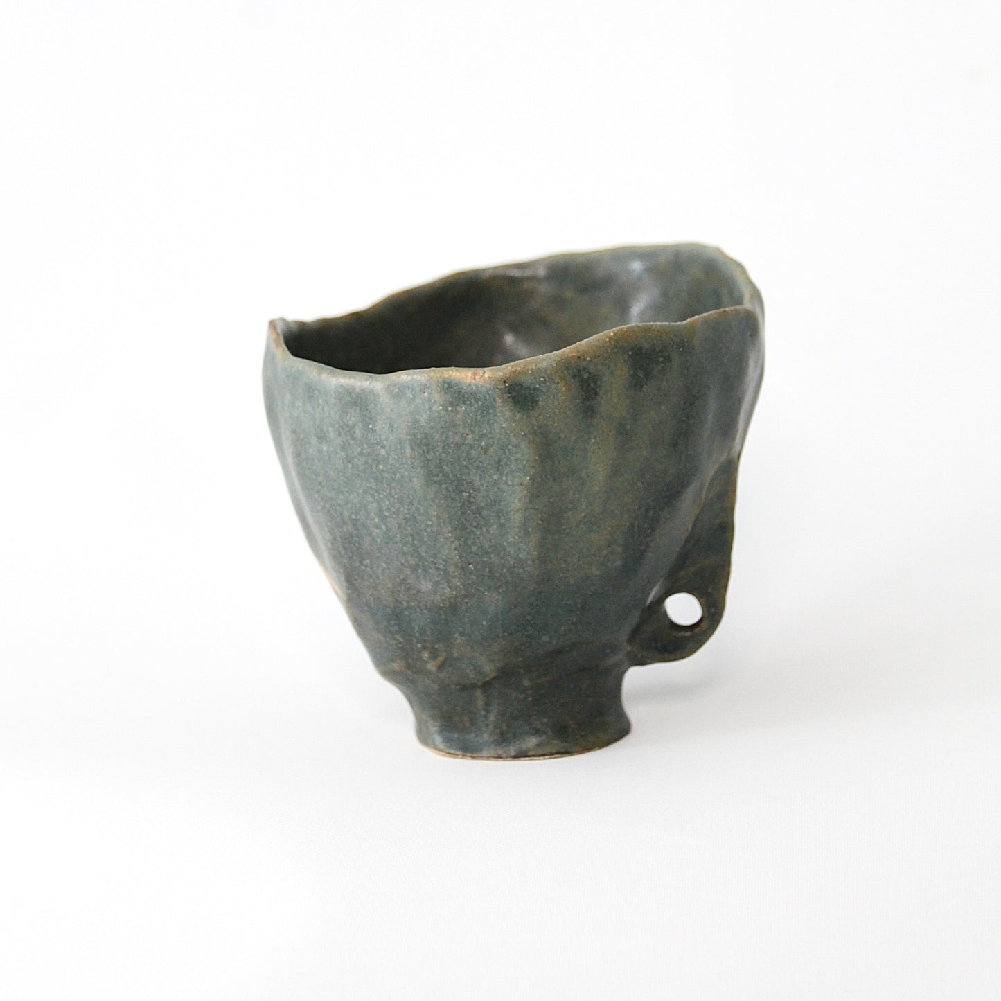 Lichen - Tasse Vivante
