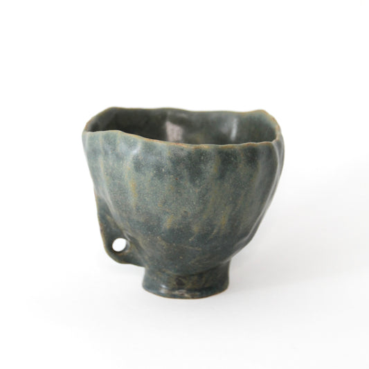 Lichen - Tasse Vivante