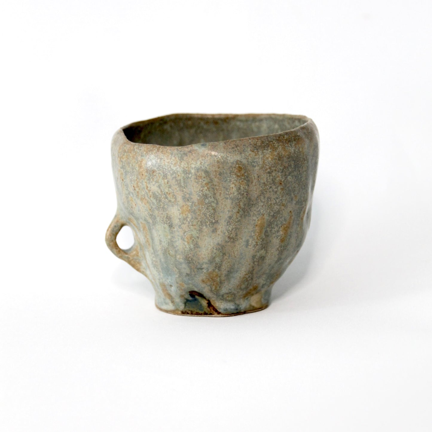 Lichen - Tasse Vivante