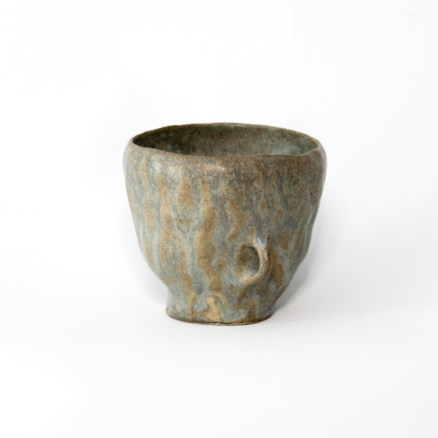 Lichen - Tasse Vivante