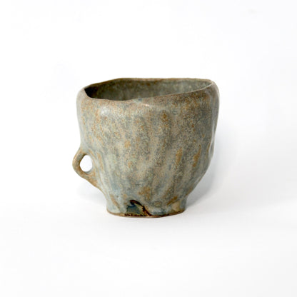 Lichen - Tasse Vivante