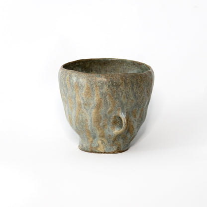 Lichen - Tasse Vivante