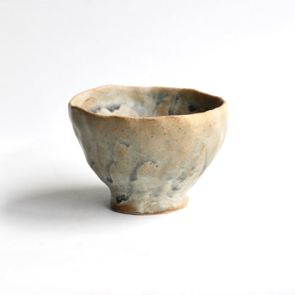 Lichen - Tasse Vivante