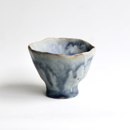 Lichen - Tasse Vivante